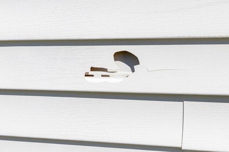 Vinyl Siding Repair Image 6